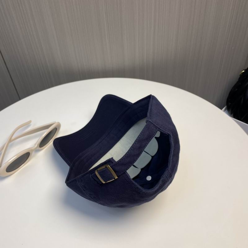 Arcteryx Cap dx (209)