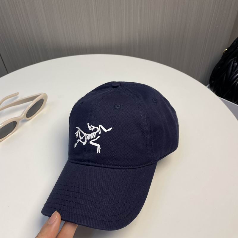 Arcteryx Cap dx (210)