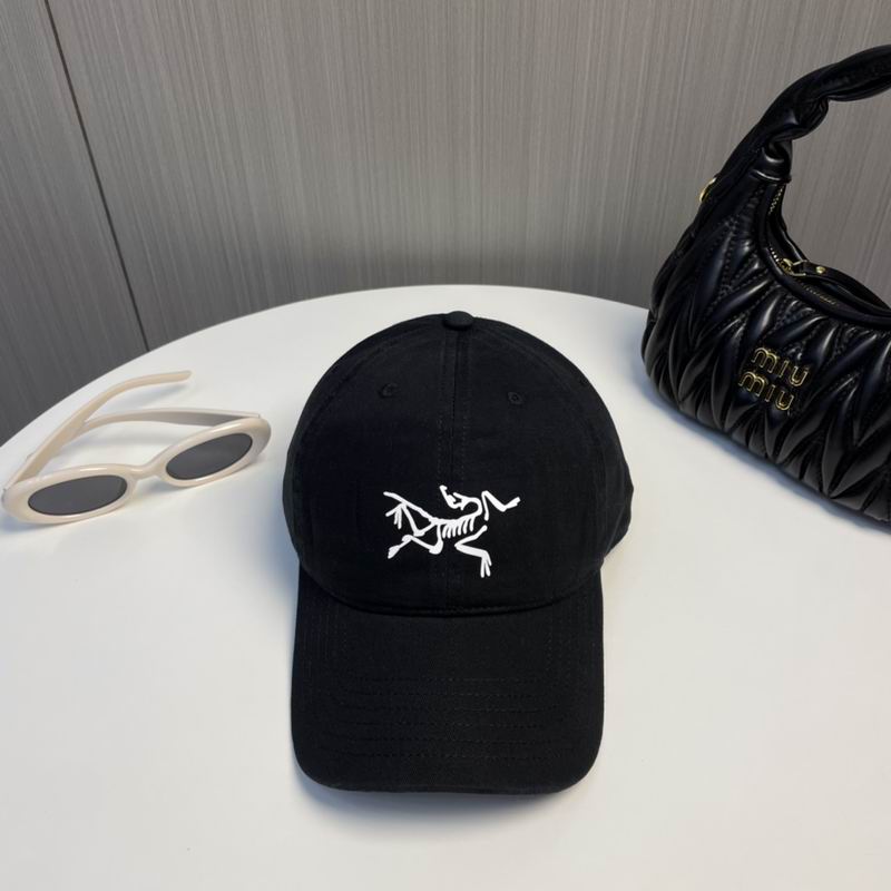 Arcteryx Cap dx (212)