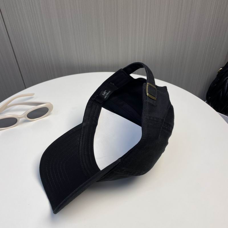 Arcteryx Cap dx (217)