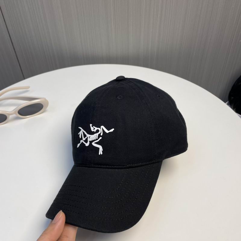 Arcteryx Cap dx (219)
