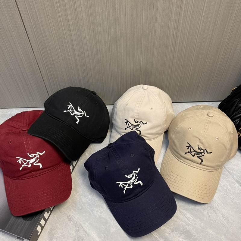 Arcteryx Cap dx (221)