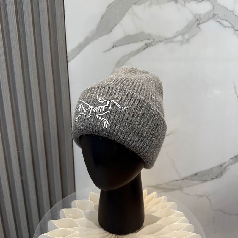 Arcteryx Hat dx (543)