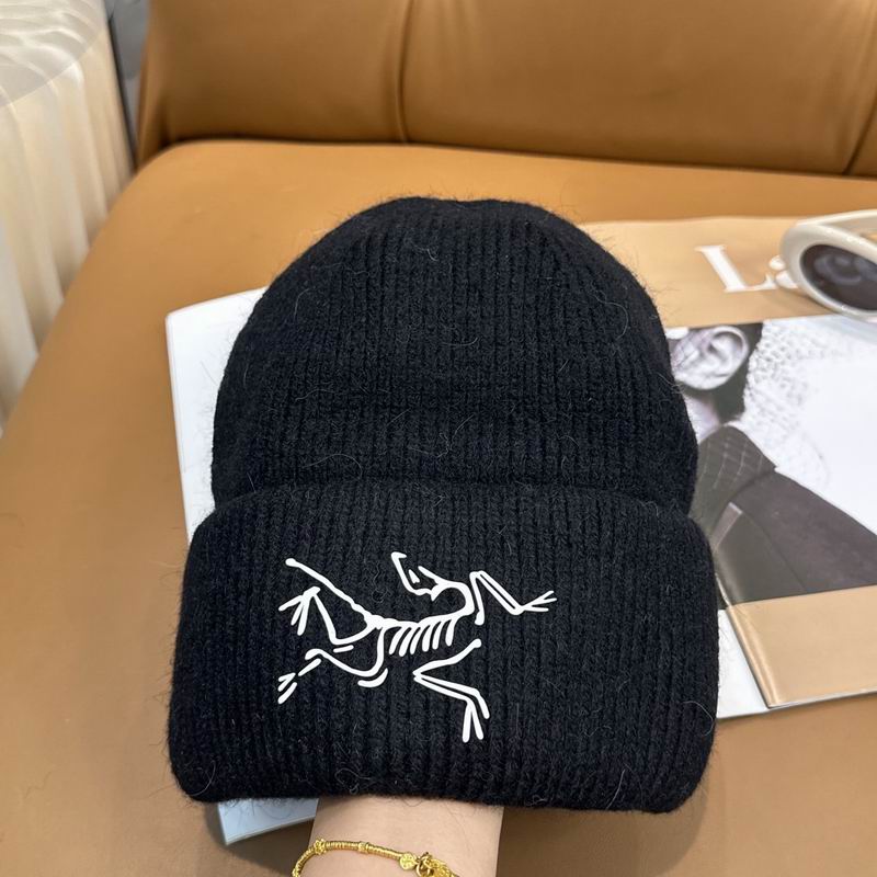 Arcteryx Hat dx (551)