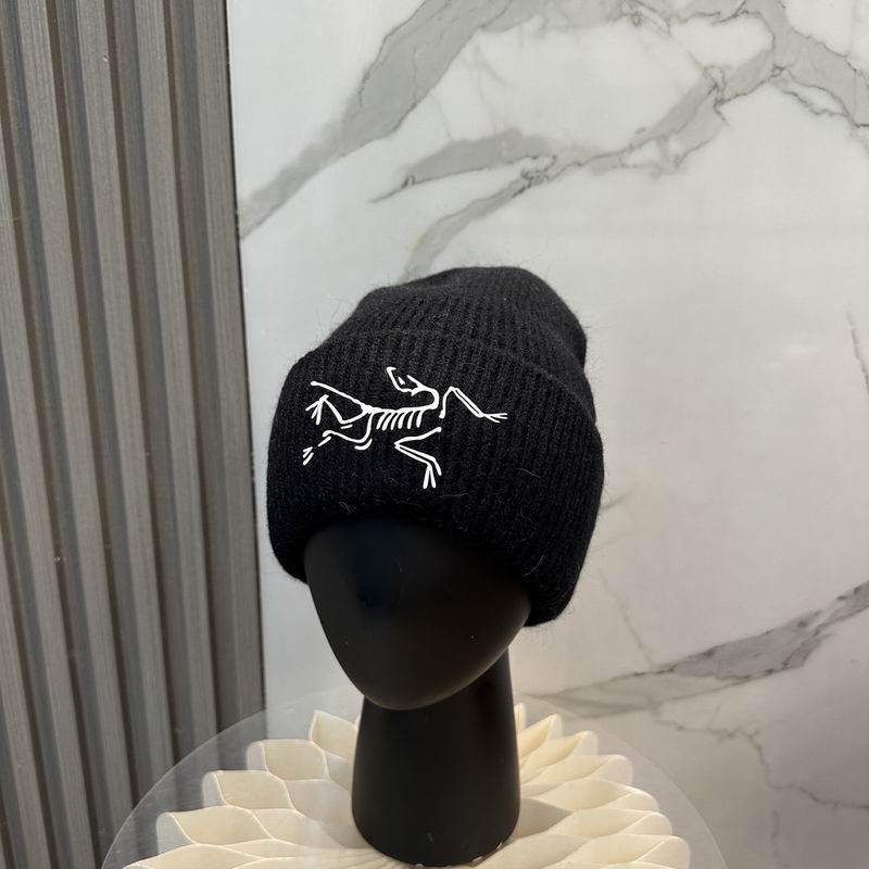 Arcteryx Hat dx (552)