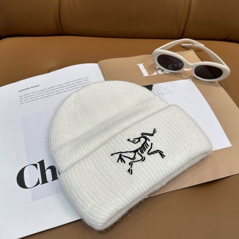 Arcteryx Hat dx (556)