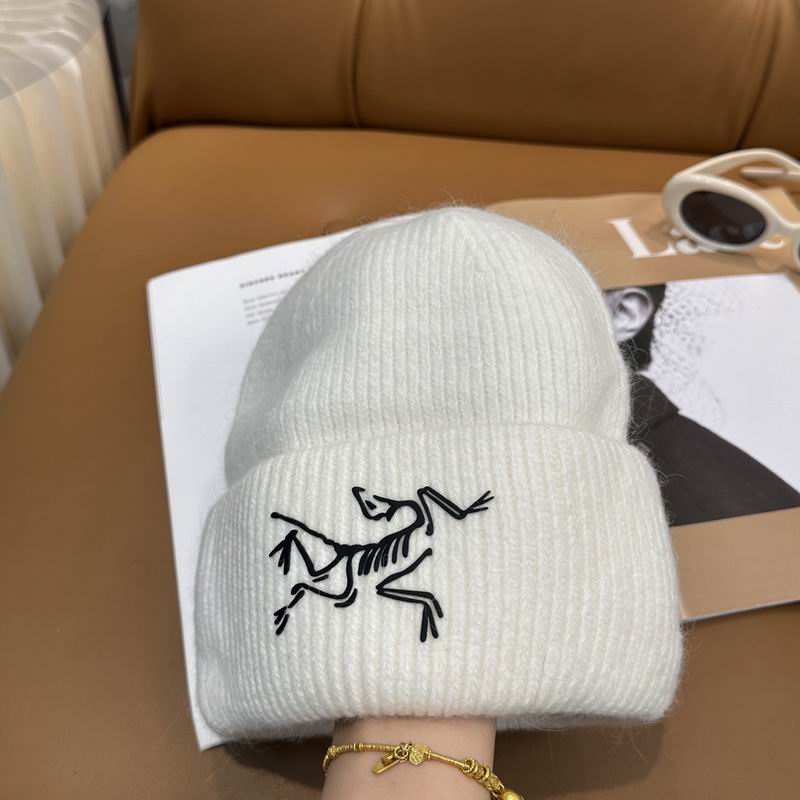 Arcteryx Hat dx (560)