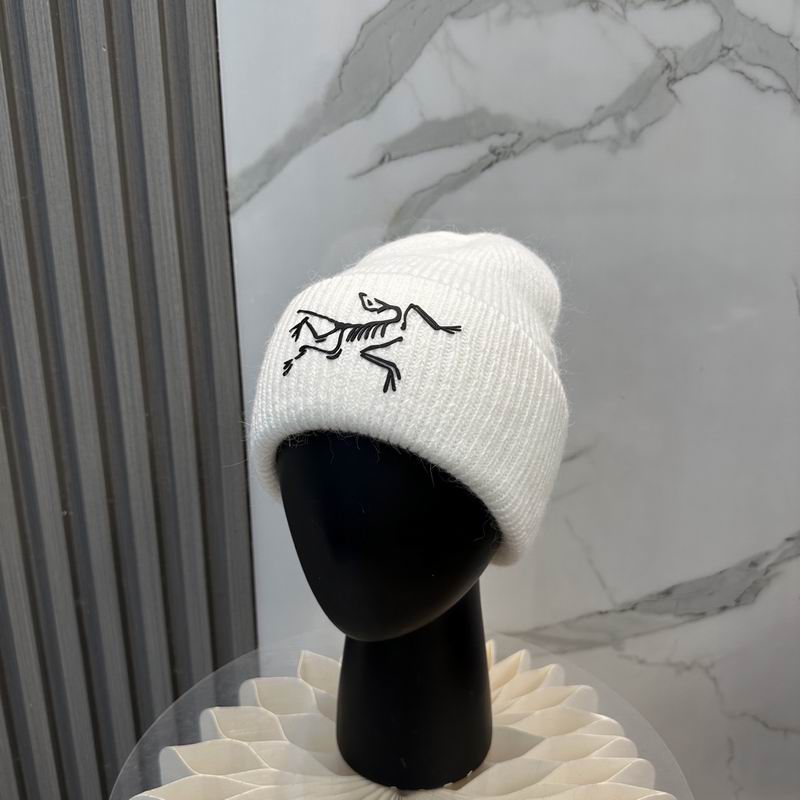 Arcteryx Hat dx (561)