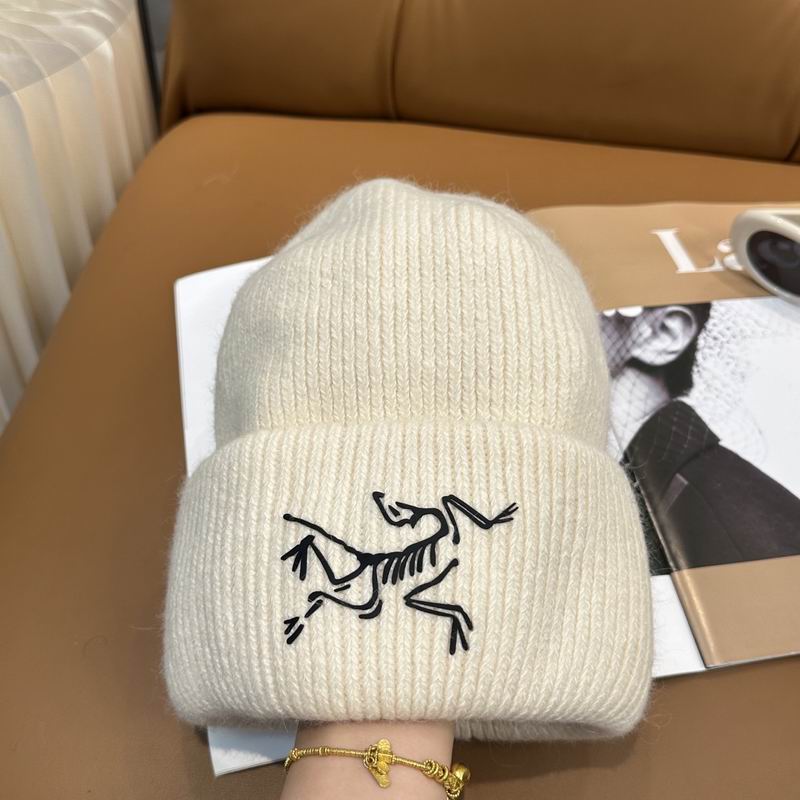 Arcteryx Hat dx (569)