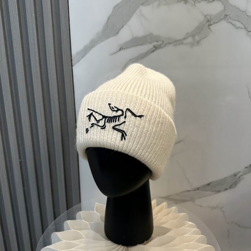 Arcteryx Hat dx (570)