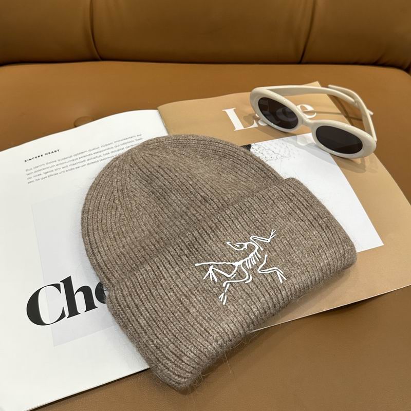 Arcteryx Hat dx (573)