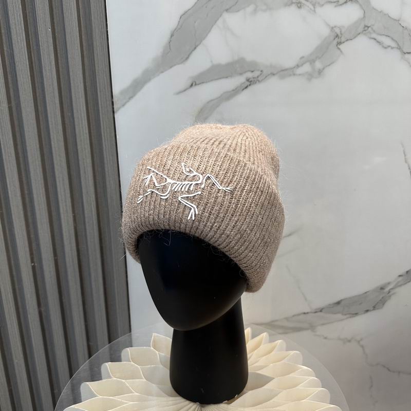 Arcteryx Hat dx (579)