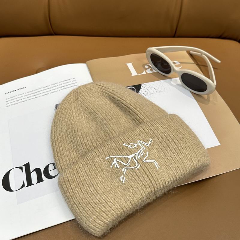 Arcteryx Hat dx (582)