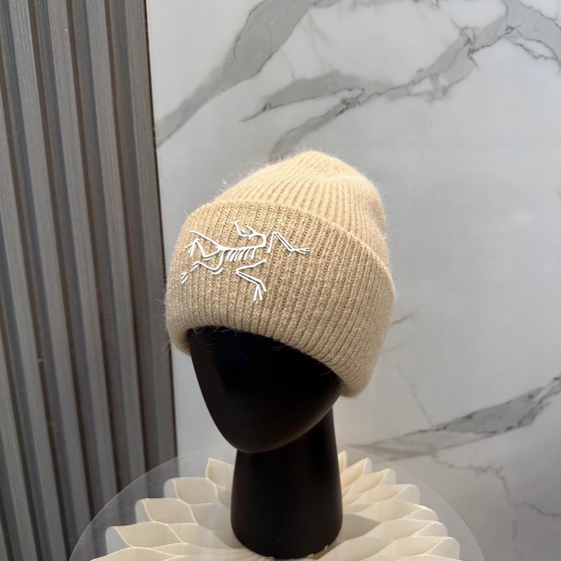 Arcteryx Hat dx (588)