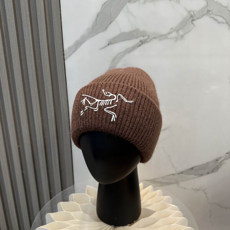 Arcteryx Hat dx (597)