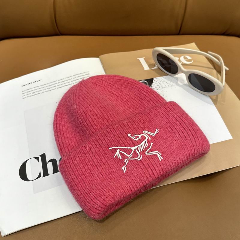 Arcteryx Hat dx (600)