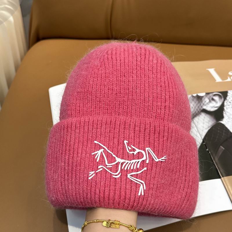 Arcteryx Hat dx (605)