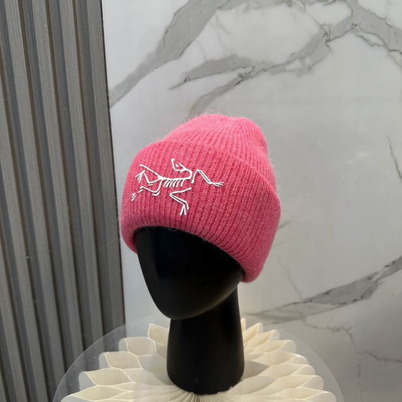 Arcteryx Hat dx (606)