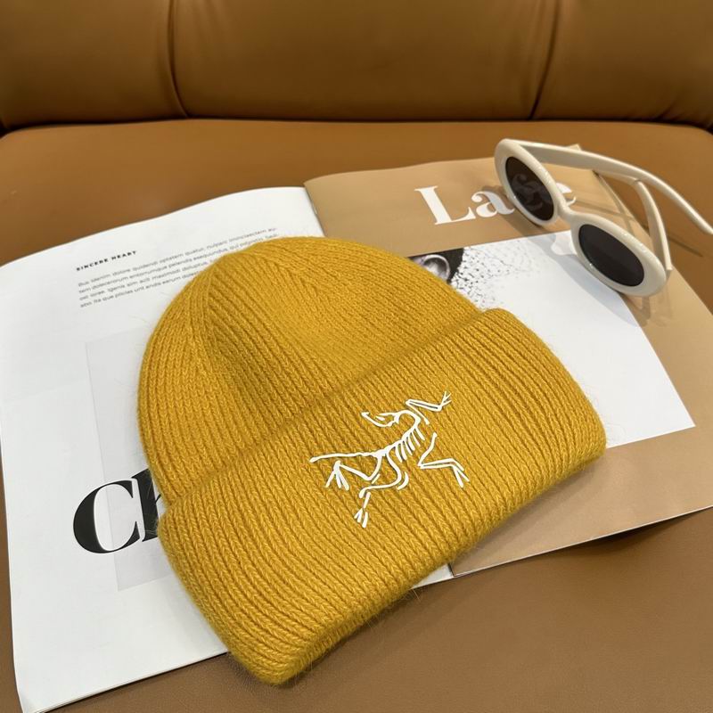 Arcteryx Hat dx (609)