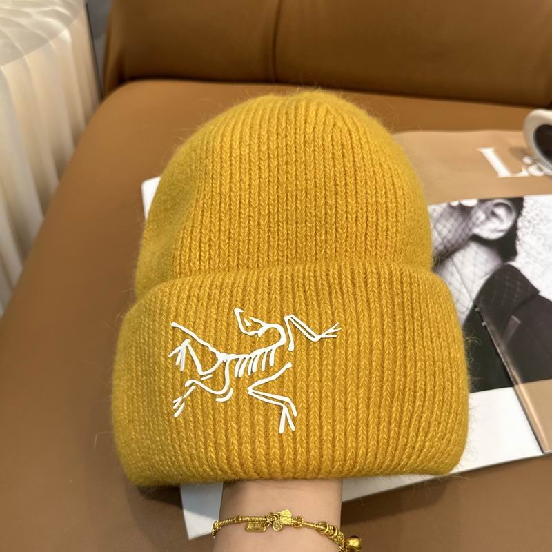 Arcteryx Hat dx (614)