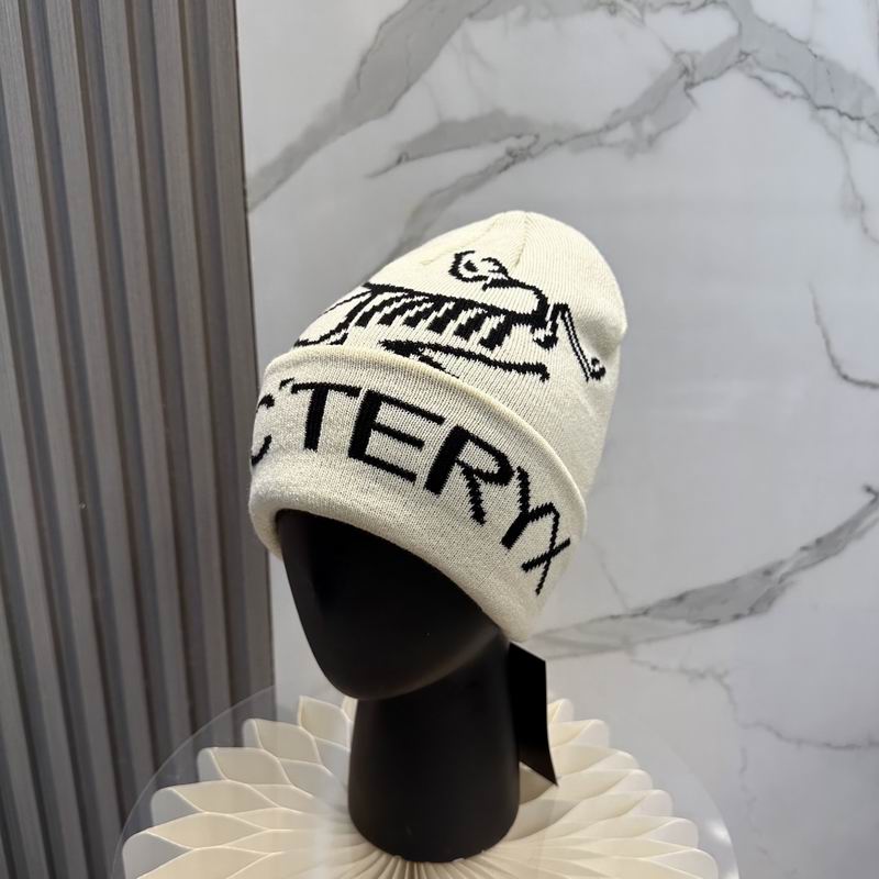 Arcteryx Hat dx (687)
