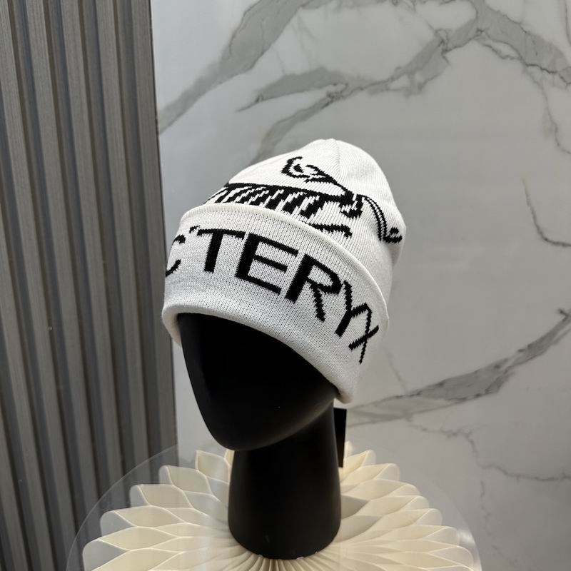 Arcteryx Hat dx (696)