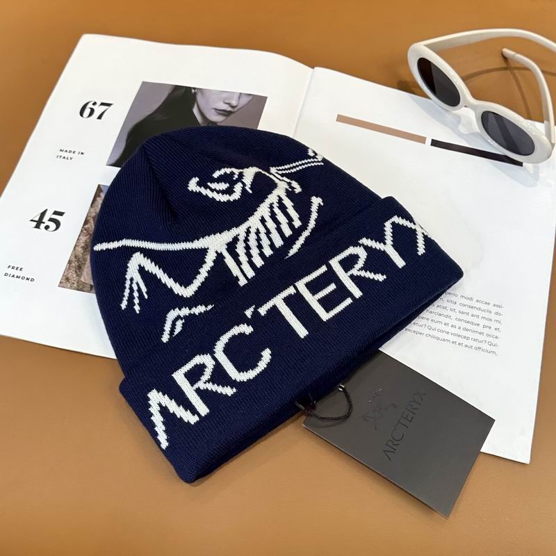 Arcteryx Hat dx (708)