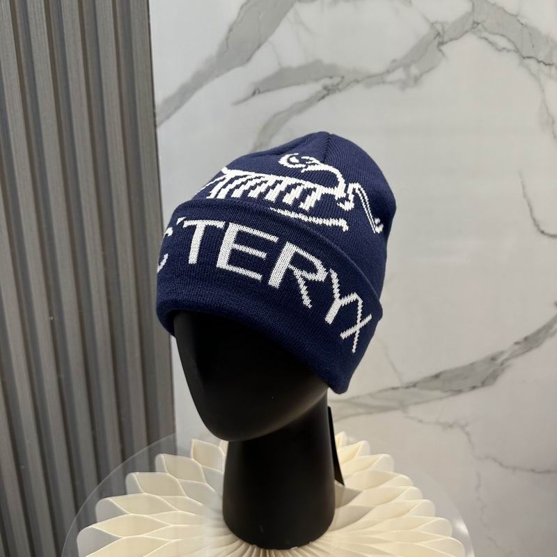 Arcteryx Hat dx (714)