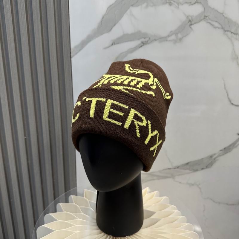 Arcteryx Hat dx (732)