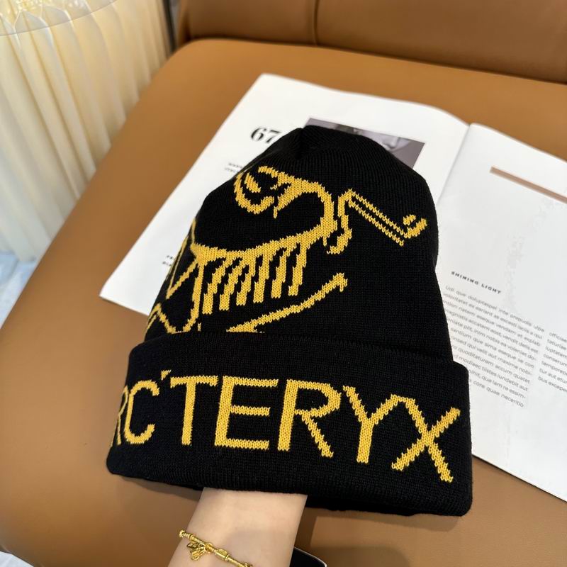 Arcteryx Hat dx (740)