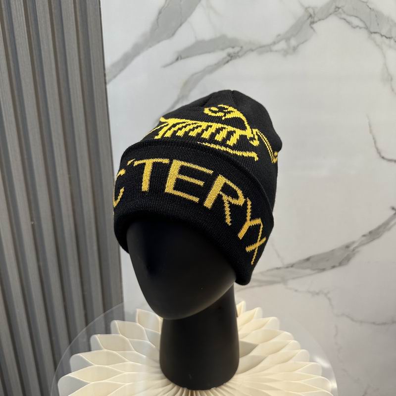 Arcteryx Hat dx (741)