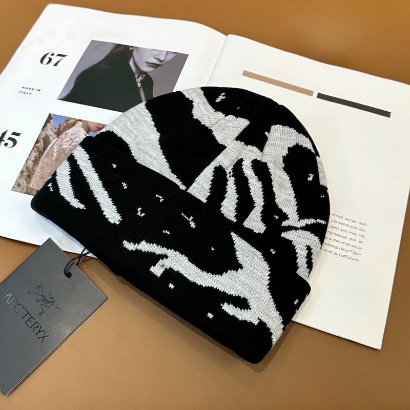 Arcteryx Hat dx (784)