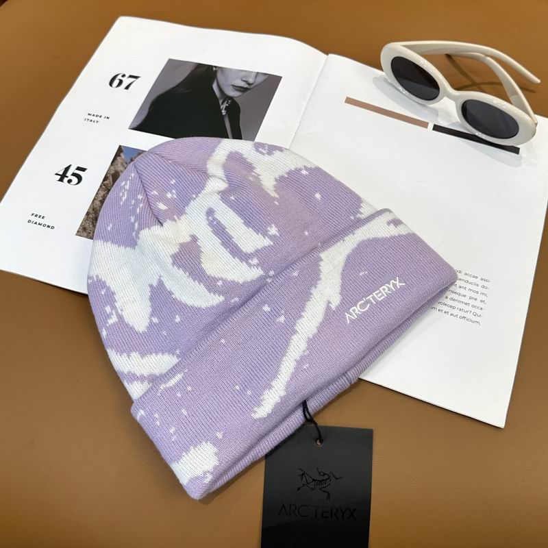 Arcteryx Hat dx (789)