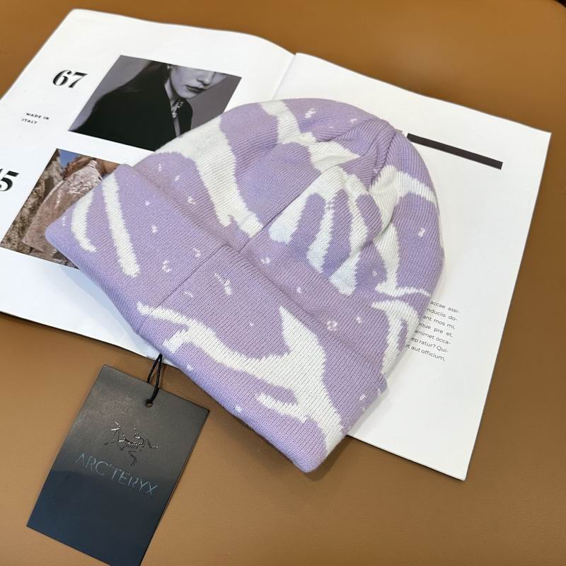 Arcteryx Hat dx (793)