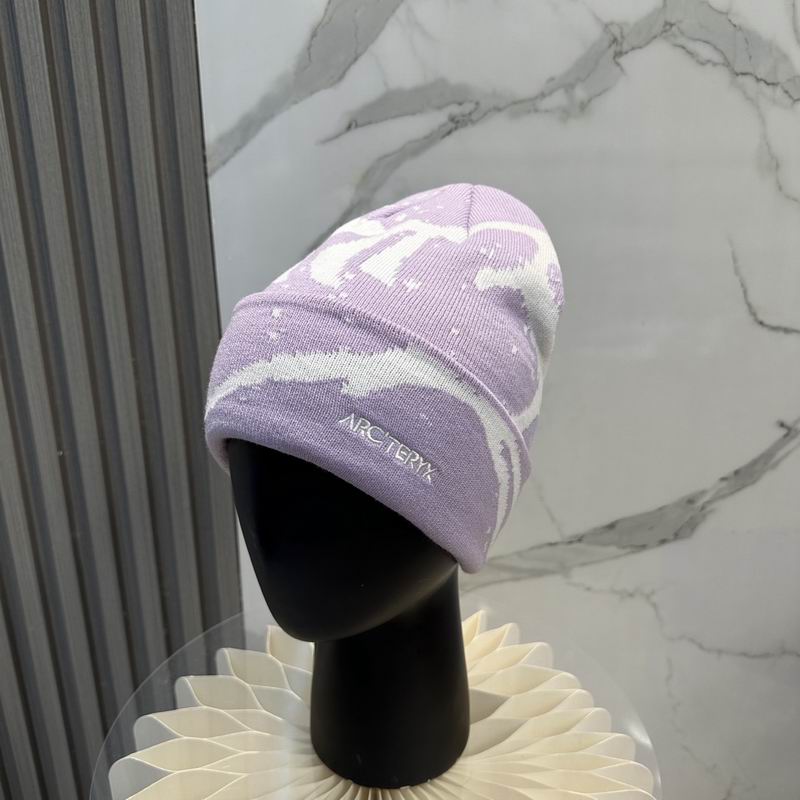 Arcteryx Hat dx (795)