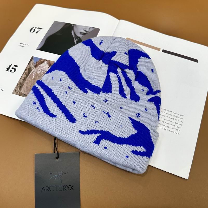 Arcteryx Hat dx (802)