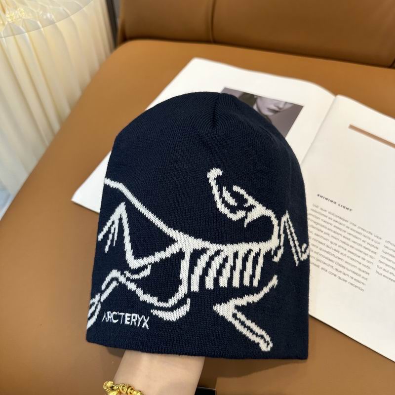 Arcteryx Hat dx (857)