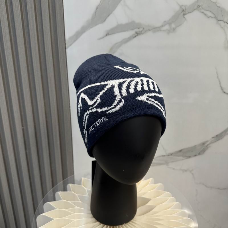 Arcteryx Hat dx (858)