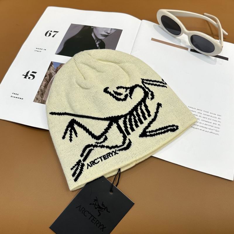 Arcteryx Hat dx (860)
