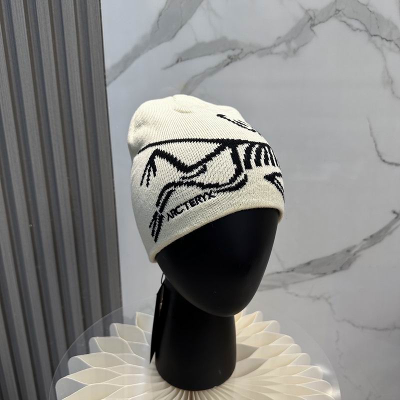 Arcteryx Hat dx (867)