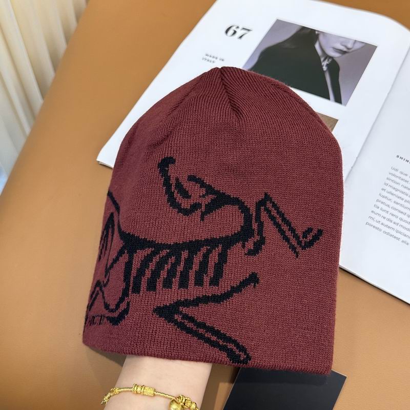 Arcteryx Hat dx (893)