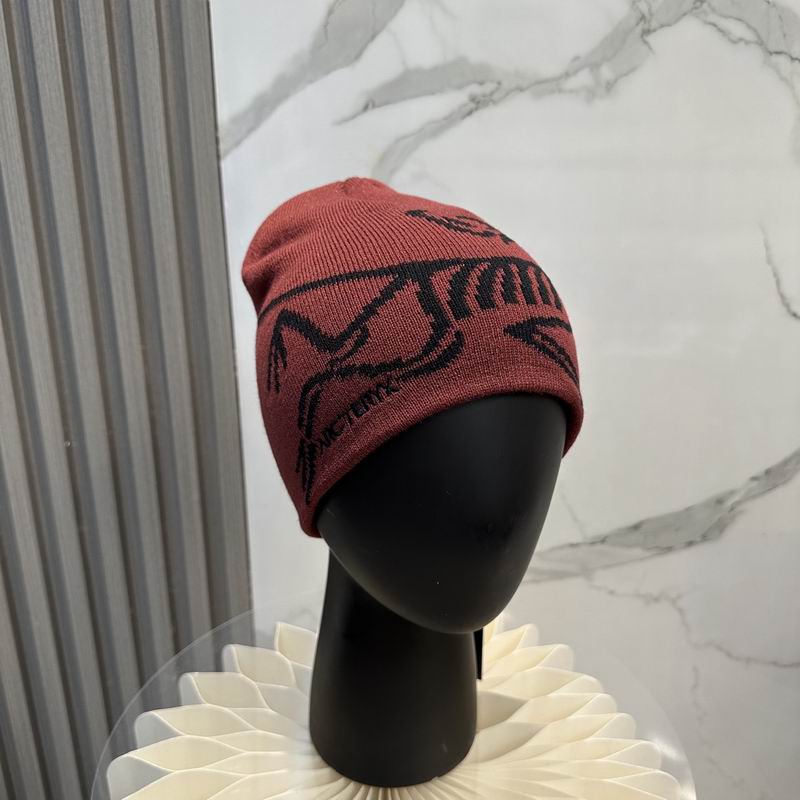 Arcteryx Hat dx (894)