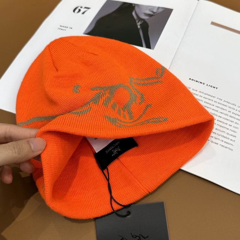 Arcteryx Hat dx (900)