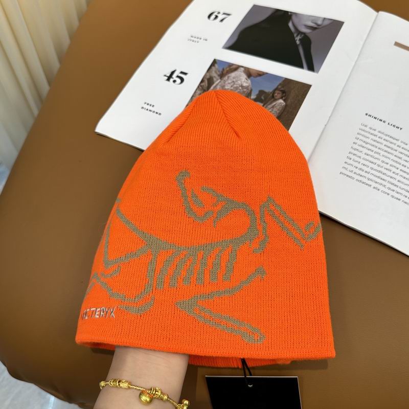 Arcteryx Hat dx (902)