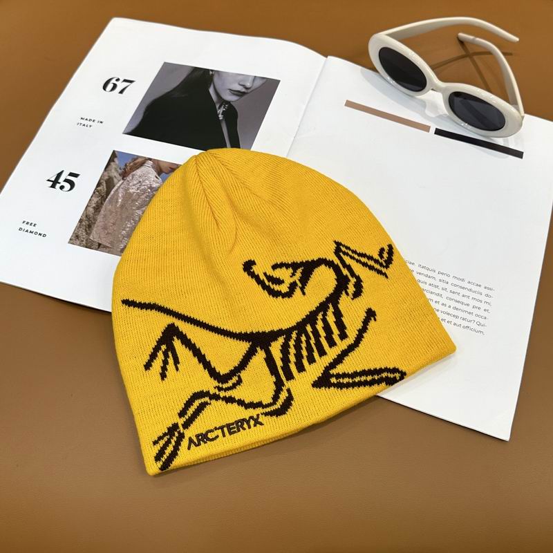 Arcteryx Hat dx (906)