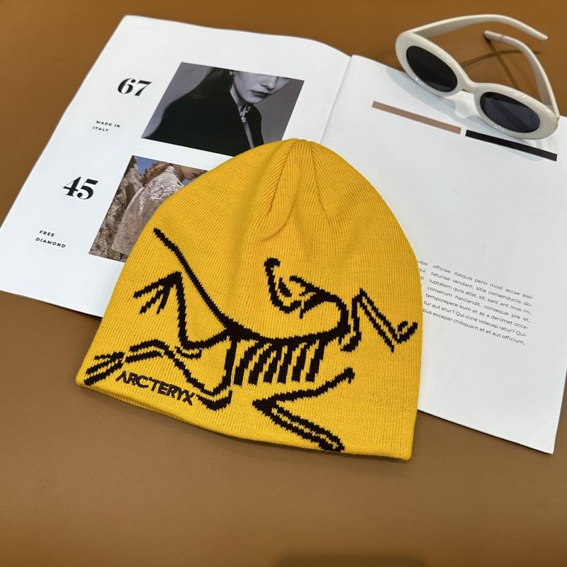 Arcteryx Hat dx (907)
