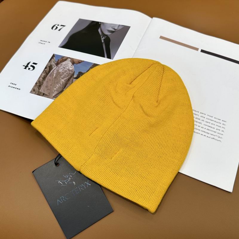 Arcteryx Hat dx (910)