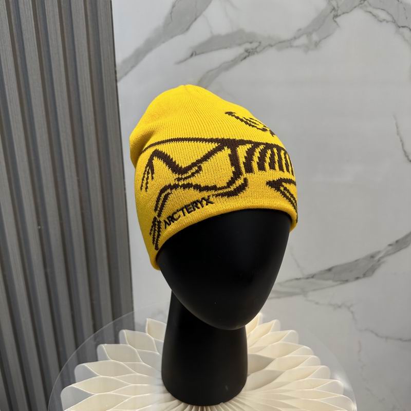 Arcteryx Hat dx (911)