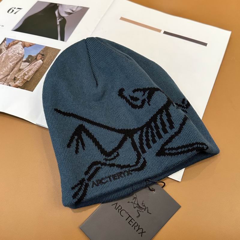 Arcteryx Hat dx (915)