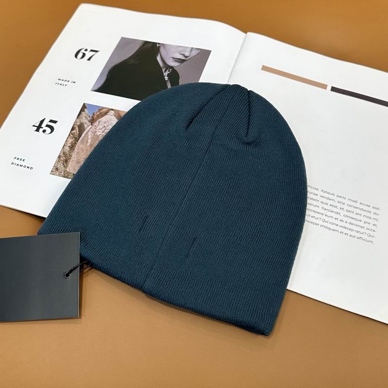 Arcteryx Hat dx (919)